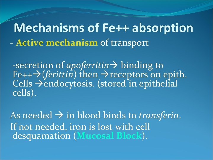 Mechanisms of Fe++ absorption - Active mechanism of transport -secretion of apoferritin binding to