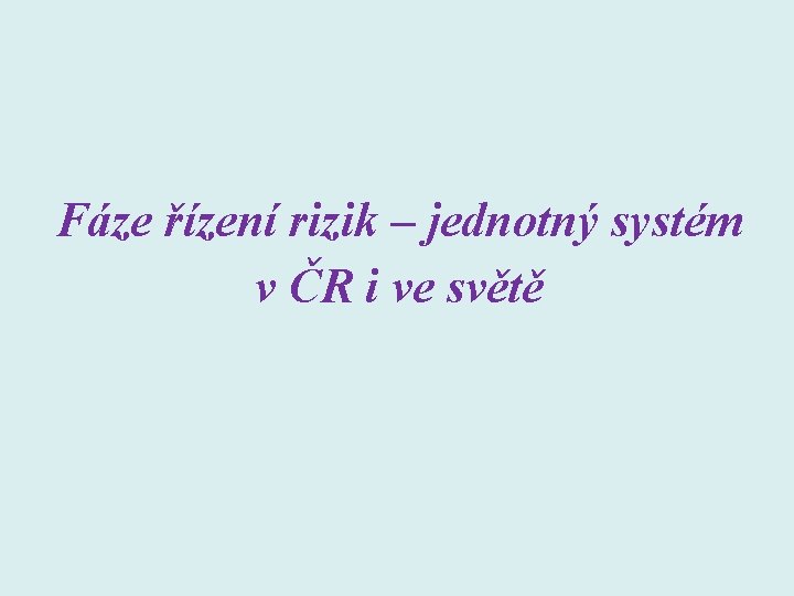 Fáze řízení rizik – jednotný systém v ČR i ve světě 