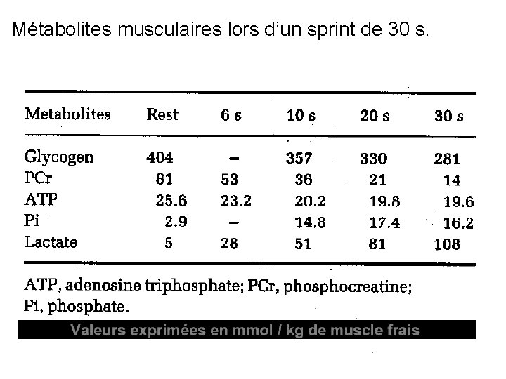 Métabolites musculaires lors d’un sprint de 30 s. 