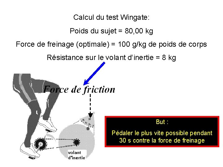 Calcul du test Wingate: Poids du sujet = 80, 00 kg Force de freinage