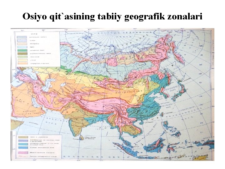 Osiyo qit`asining tabiiy geografik zonalari 