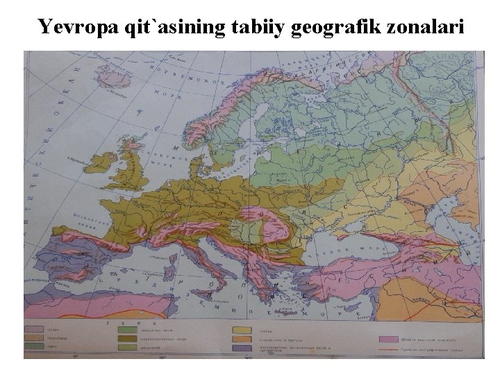 Yevropa qit`asining tabiiy geografik zonalari 