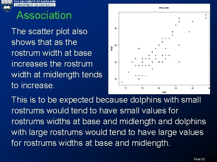 Association The scatter plot also shows that as the rostrum width at base increases