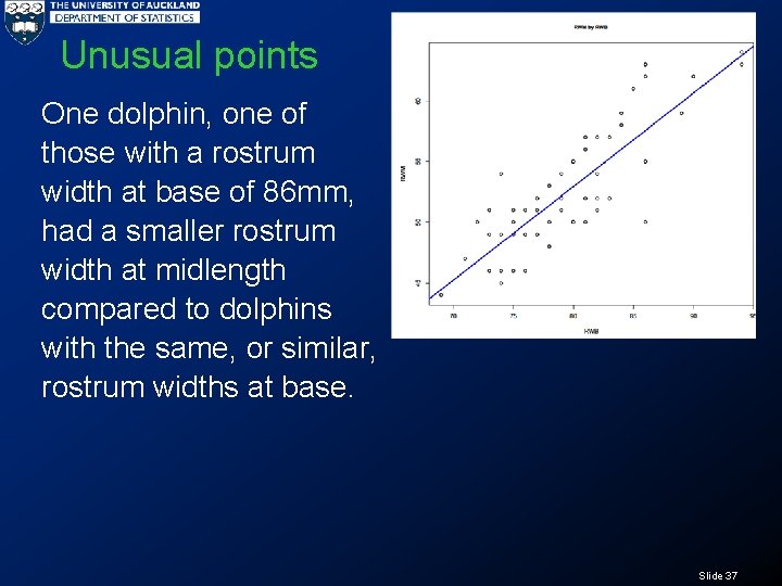 Unusual points One dolphin, one of those with a rostrum width at base of