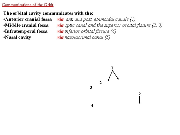 Communications of the Orbit The orbital cavity communicates with the: • Anterior cranial fossa