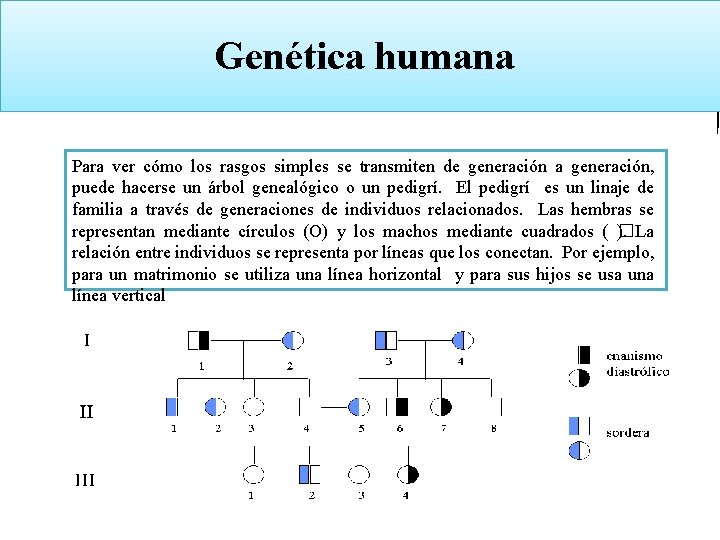 GENÉTICA LEYES DE MENDEL Biología y Geología 4º ESO Genética humana Para ver cómo