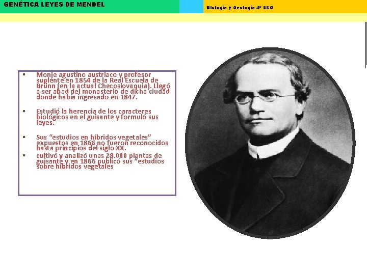 GENÉTICA LEYES DE MENDEL § Monje agustino austriaco y profesor suplente en 1854 de