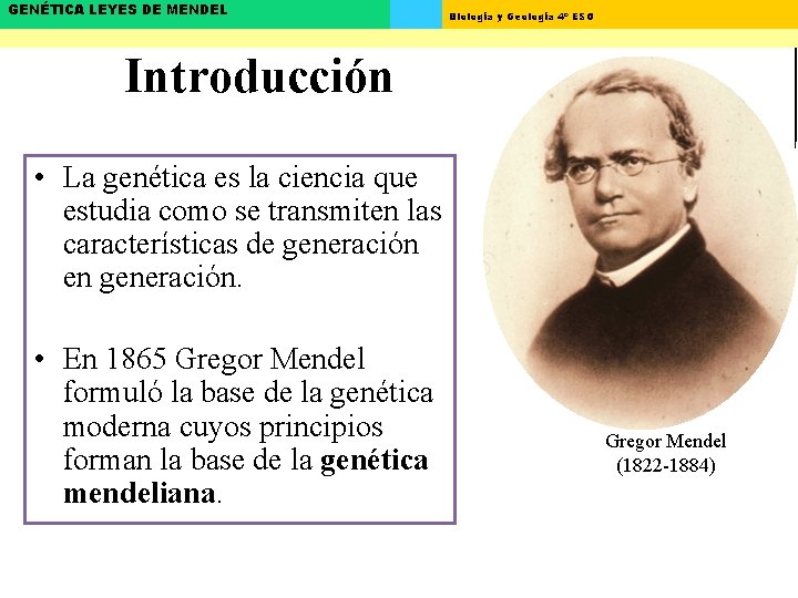 GENÉTICA LEYES DE MENDEL Biología y Geología 4º ESO Introducción • La genética es