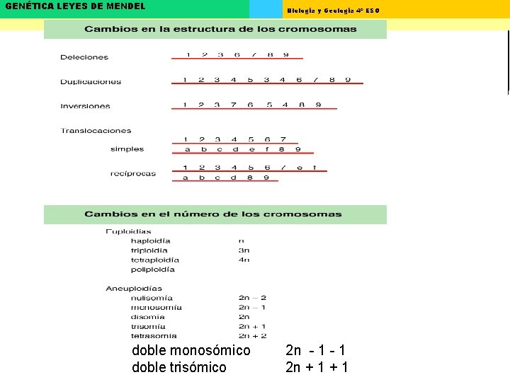 GENÉTICA LEYES DE MENDEL doble monosómico doble trisómico Biología y Geología 4º ESO 2