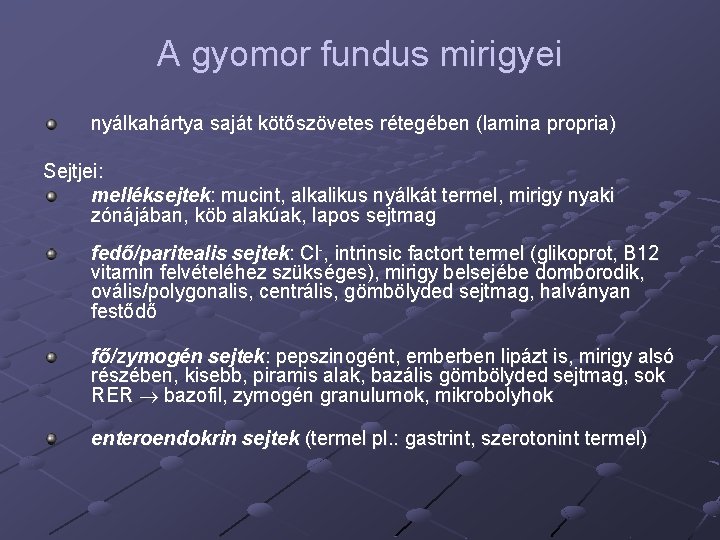 A gyomor fundus mirigyei nyálkahártya saját kötőszövetes rétegében (lamina propria) Sejtjei: melléksejtek: mucint, alkalikus