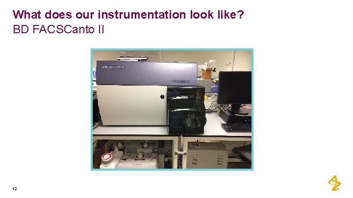 What does our instrumentation look like? BD FACSCanto II 12 