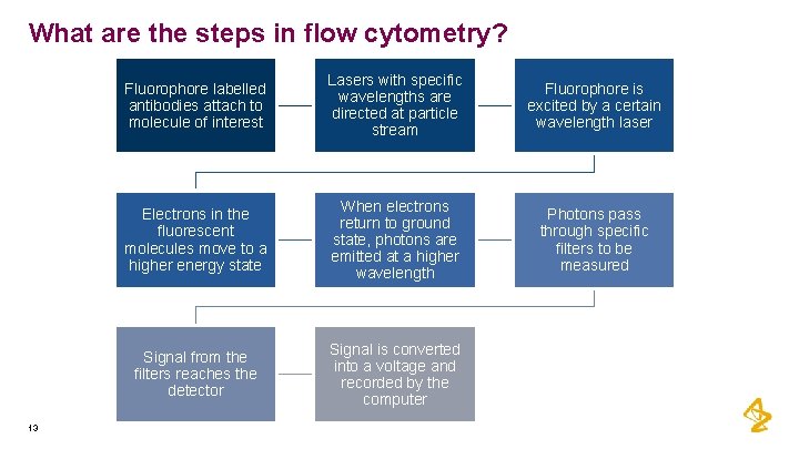 What are the steps in flow cytometry? 13 Fluorophore labelled antibodies attach to molecule