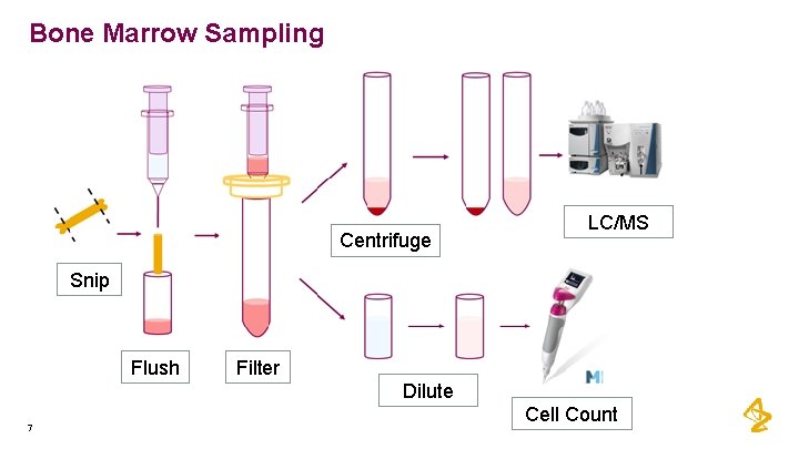 Bone Marrow Sampling Centrifuge LC/MS Snip Flush Filter Dilute 7 Cell Count 