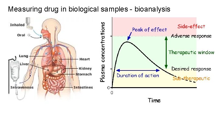 Measuring drug in biological samples - bioanalysis 