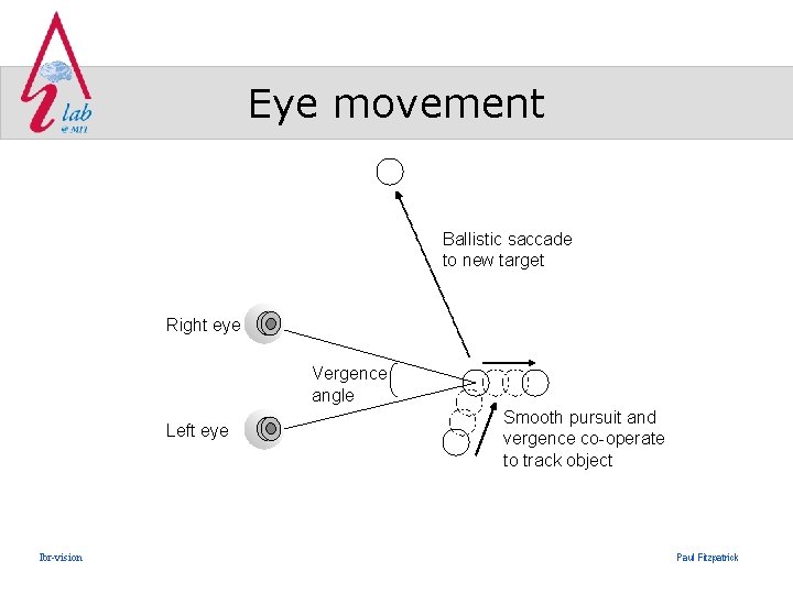 Eye movement Ballistic saccade to new target Right eye Vergence angle Left eye lbr-vision