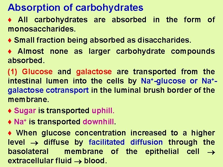 Absorption of carbohydrates ♦ All carbohydrates are absorbed in the form of monosaccharides. ♦