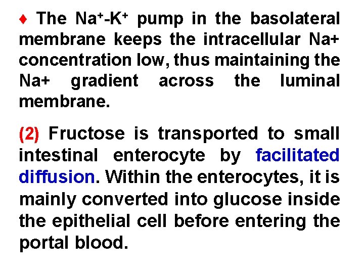 ♦ The Na+-K+ pump in the basolateral membrane keeps the intracellular Na+ concentration low,