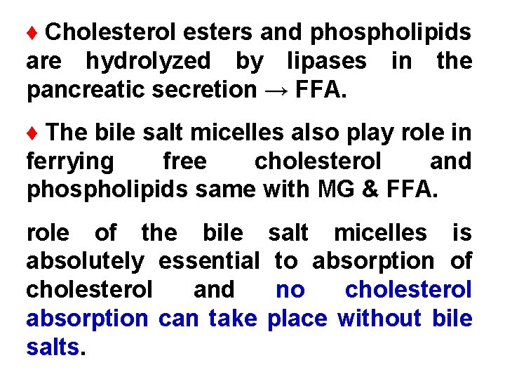 ♦ Cholesterol esters and phospholipids are hydrolyzed by lipases in the pancreatic secretion →