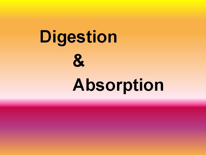 Digestion & Absorption 