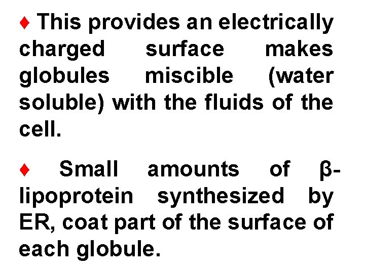 ♦ This provides an electrically charged surface makes globules miscible (water soluble) with the