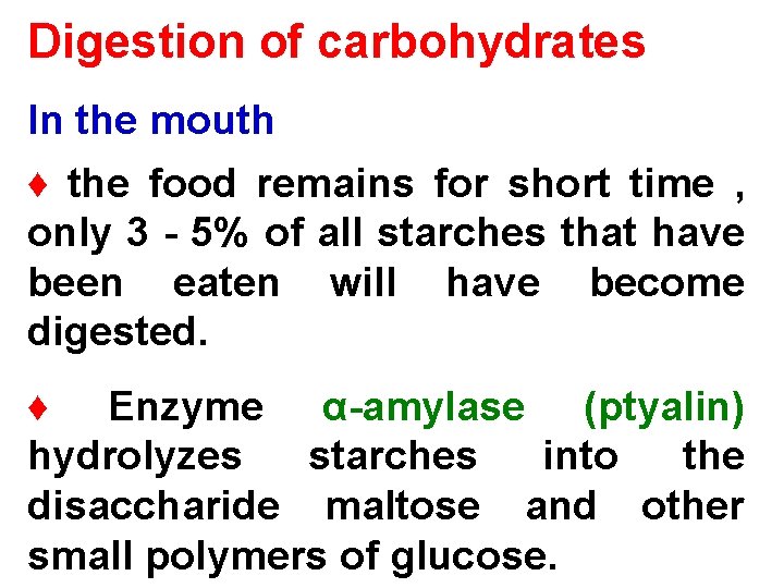 Digestion of carbohydrates In the mouth ♦ the food remains for short time ,