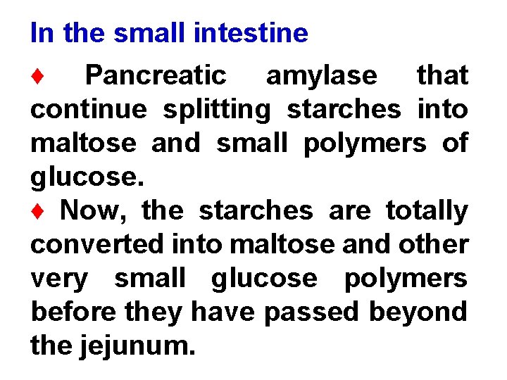 In the small intestine ♦ Pancreatic amylase that continue splitting starches into maltose and