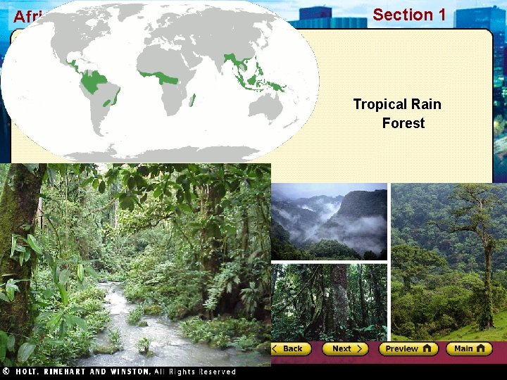African Kingdoms Section 1 Tropical Rain Forest 