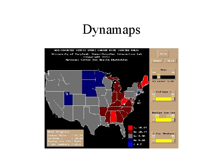 Dynamaps 