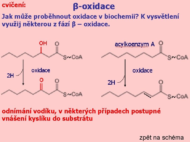 cvičení: β-oxidace Jak může proběhnout oxidace v biochemii? K vysvětlení využij některou z fází