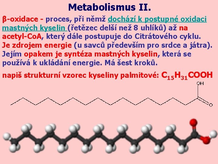 Metabolismus II. β-oxidace - proces, při němž dochází k postupné oxidaci mastných kyselin (řetězec