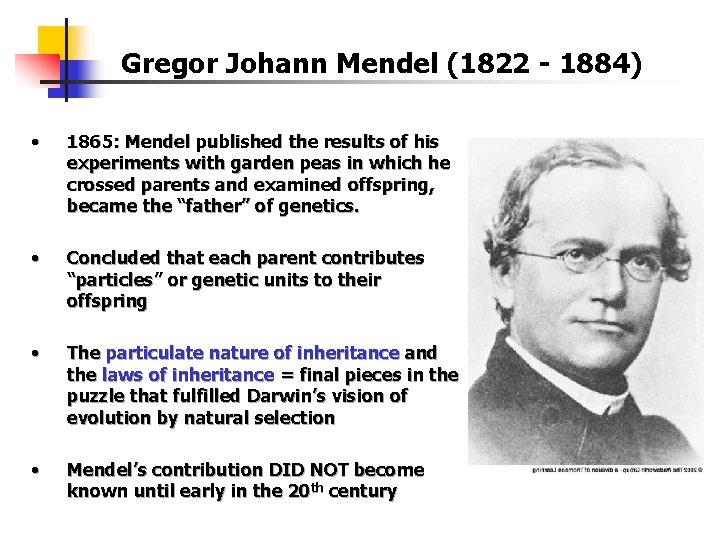 Gregor Johann Mendel (1822 - 1884) • 1865: Mendel published the results of his