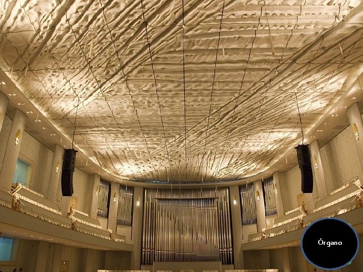 Órgano 