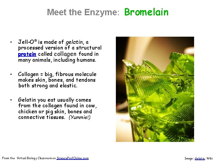 About Science Prof Online Power Point Resources Science