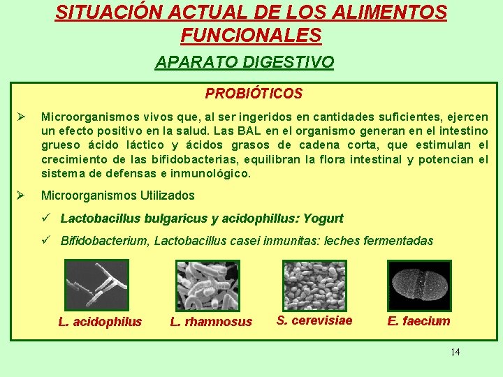 SITUACIÓN ACTUAL DE LOS ALIMENTOS FUNCIONALES APARATO DIGESTIVO PROBIÓTICOS Ø Microorganismos vivos que, al