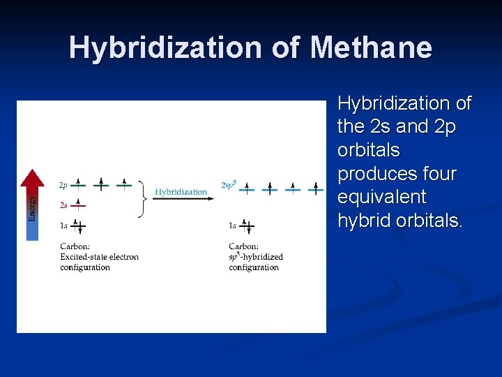 Hybridization of Methane Hybridization of the 2 s and 2 p orbitals produces four