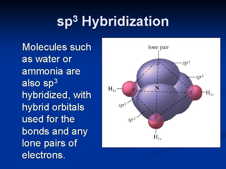 sp 3 Hybridization Molecules such as water or ammonia are also sp 3 hybridized,