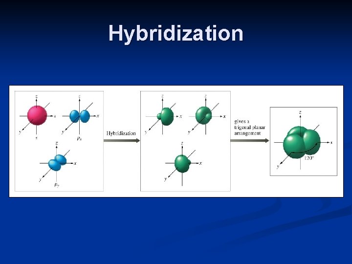 Hybridization 