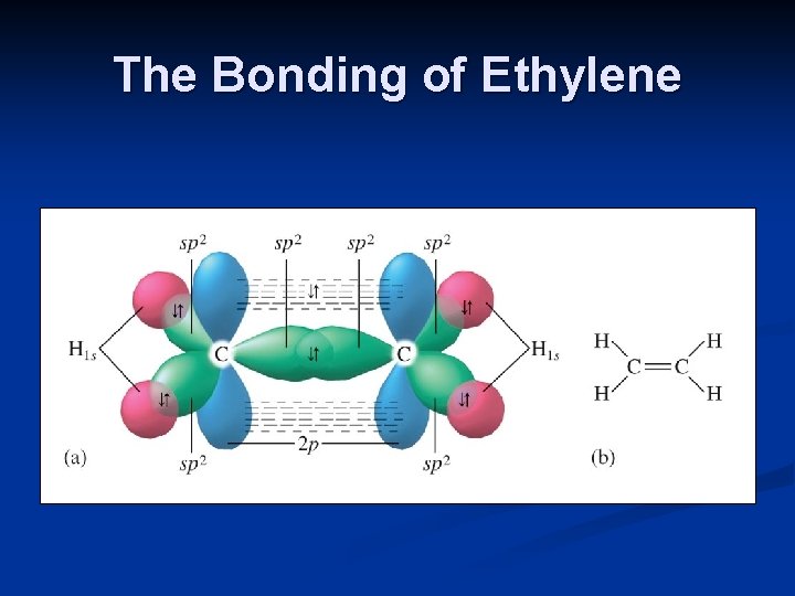 The Bonding of Ethylene 