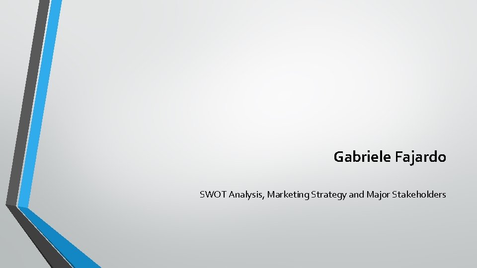 Gabriele Fajardo SWOT Analysis, Marketing Strategy and Major Stakeholders 