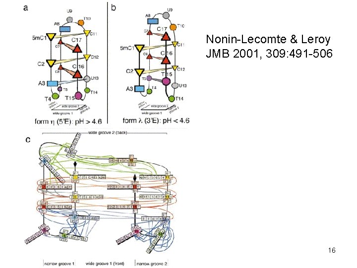 Nonin-Lecomte & Leroy JMB 2001, 309: 491 -506 16 