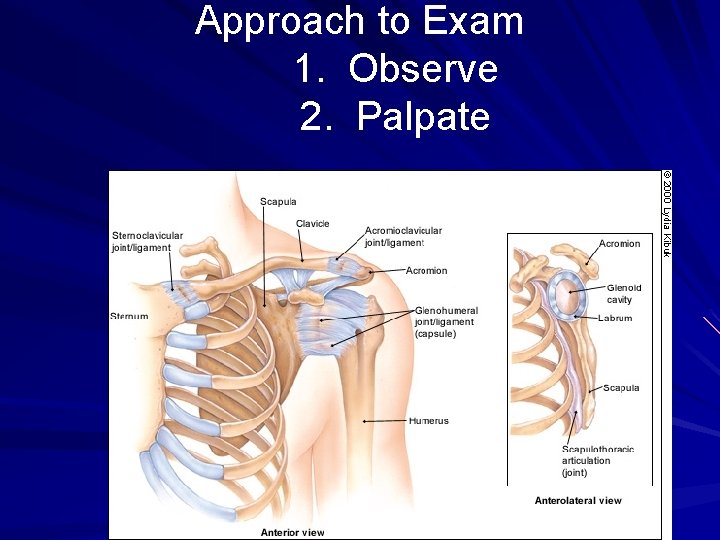 Approach to Exam 1. Observe 2. Palpate 