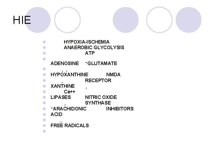 HIE l l l l HYPOXIA-ISCHEMIA ANAEROBIC GLYCOLYSIS ATP ADENOSINE ↑GLUTAMATE ↓↓ HYPOXANTHINE NMDA