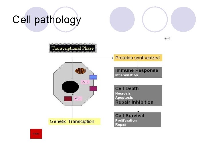 Cell pathology 