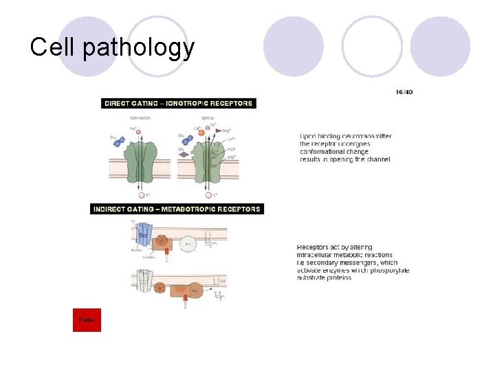 Cell pathology 