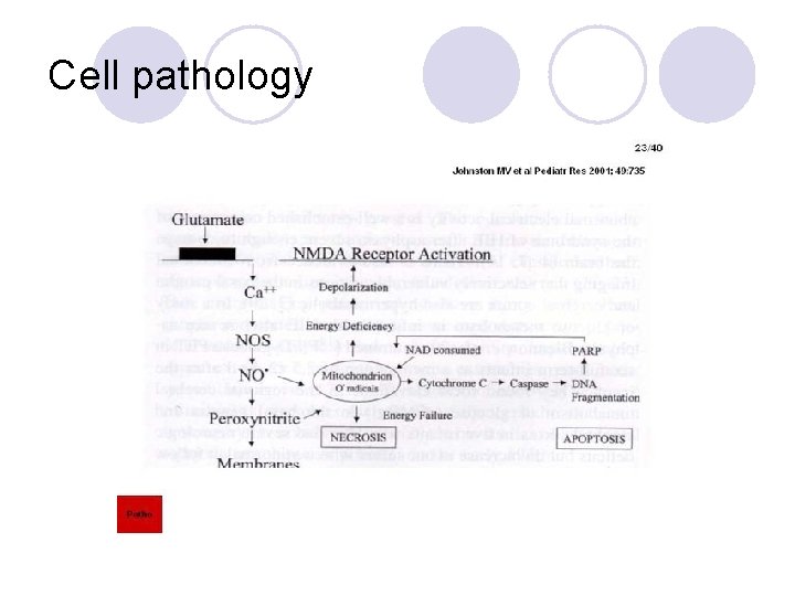 Cell pathology 