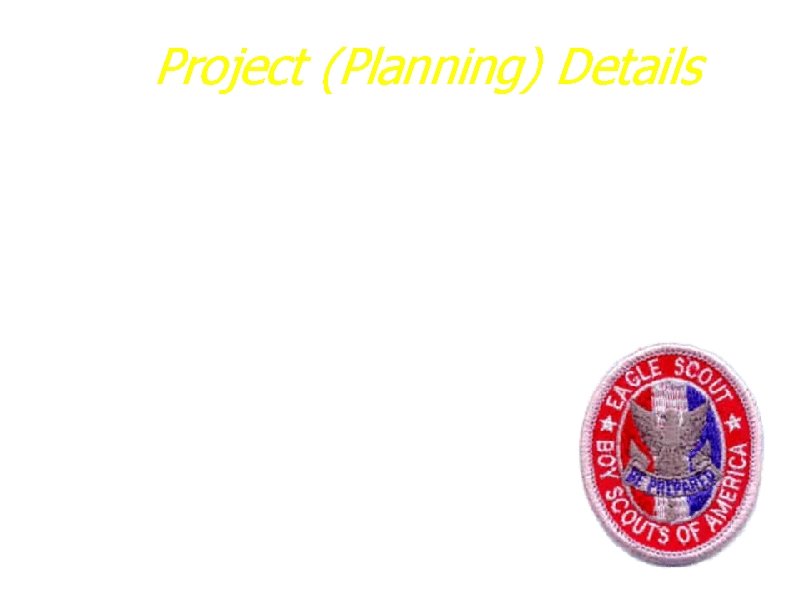 Project (Planning) Details a. Financial Plan b. Written/Printed Information c. Helper/Workers d. Adult Supervision