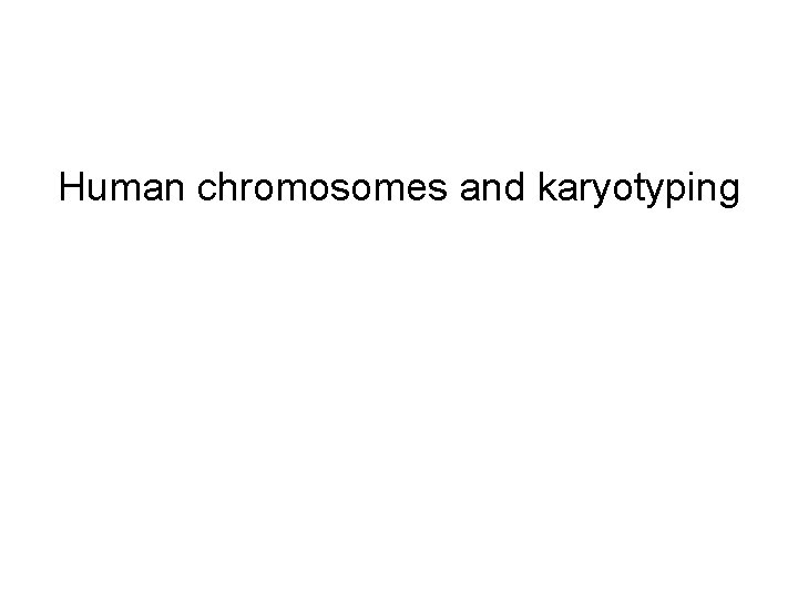 Human chromosomes and karyotyping 