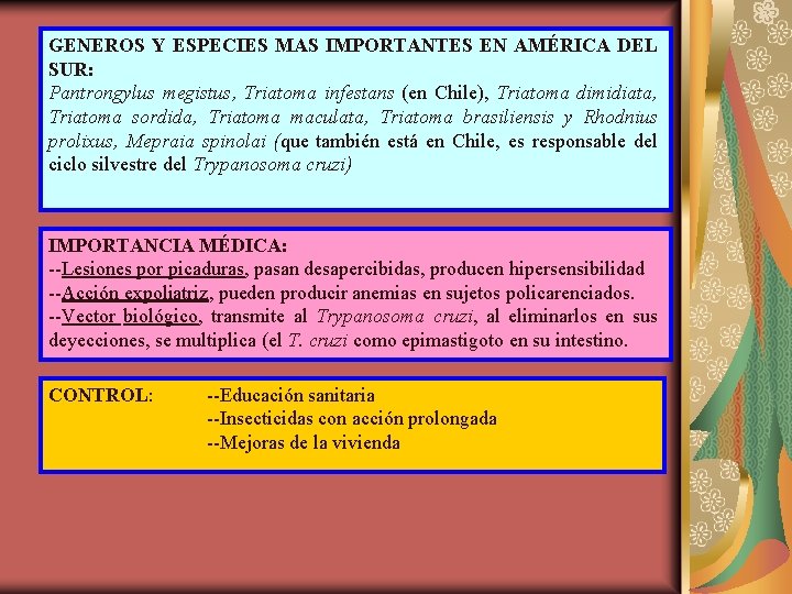 GENEROS Y ESPECIES MAS IMPORTANTES EN AMÉRICA DEL SUR: Pantrongylus megistus, Triatoma infestans (en