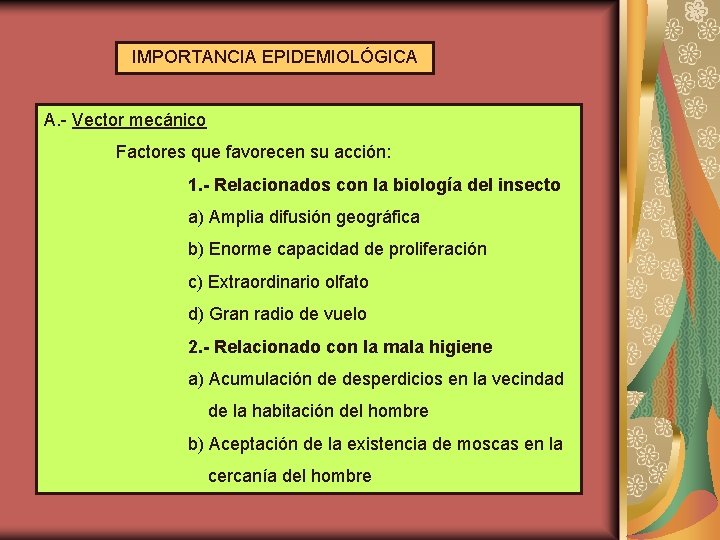 IMPORTANCIA EPIDEMIOLÓGICA A. - Vector mecánico Factores que favorecen su acción: 1. - Relacionados
