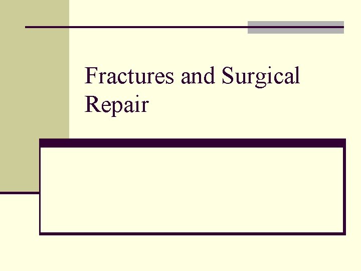 Fractures and Surgical Repair 